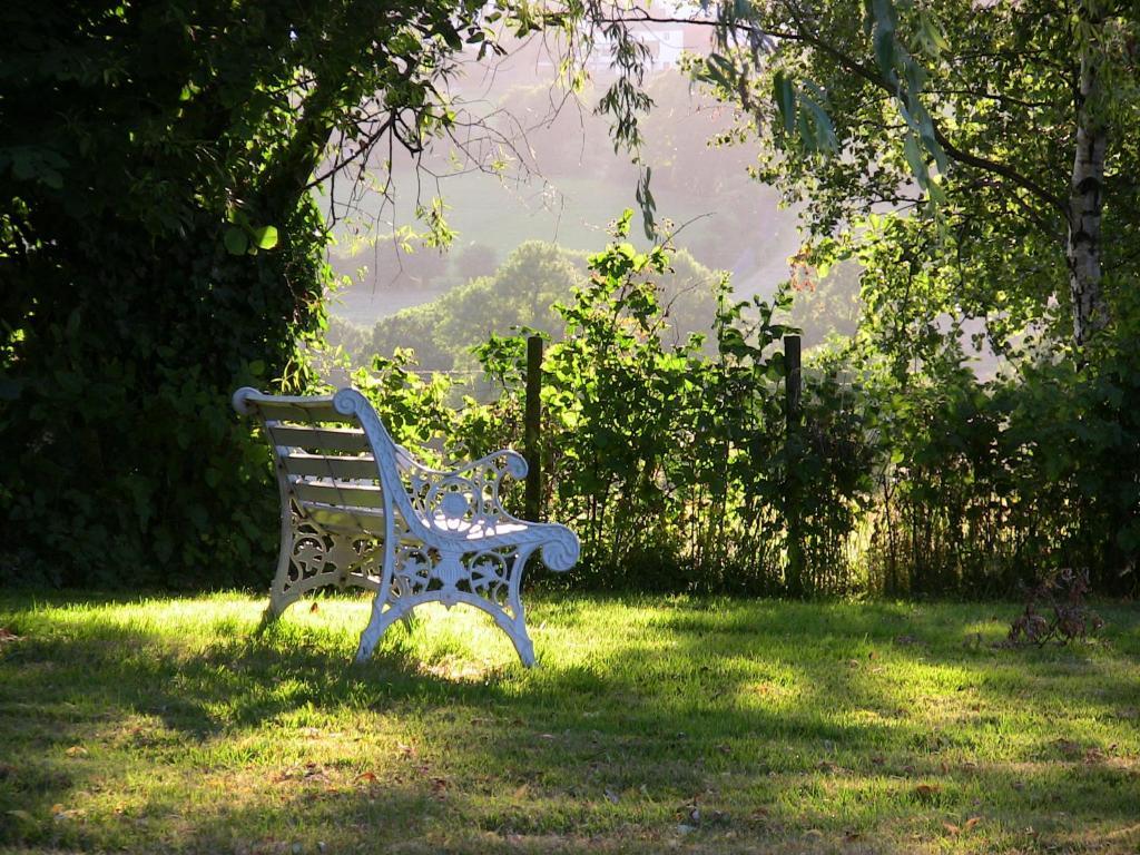B&B Aux Beaux Buis Blegny Dış mekan fotoğraf